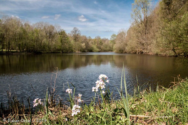 L'étang du Val - Bretoncelles