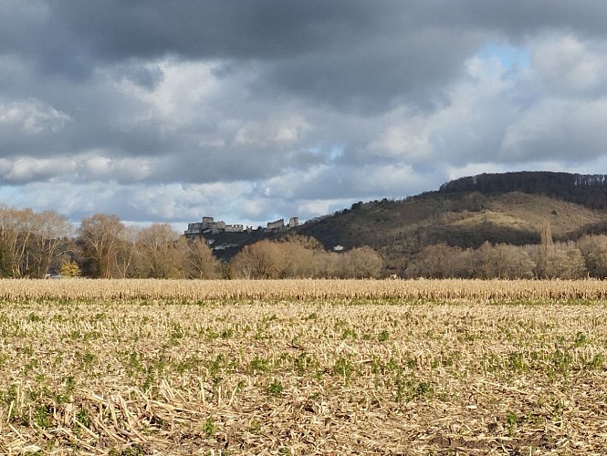 A la conquête de Château Gaillard