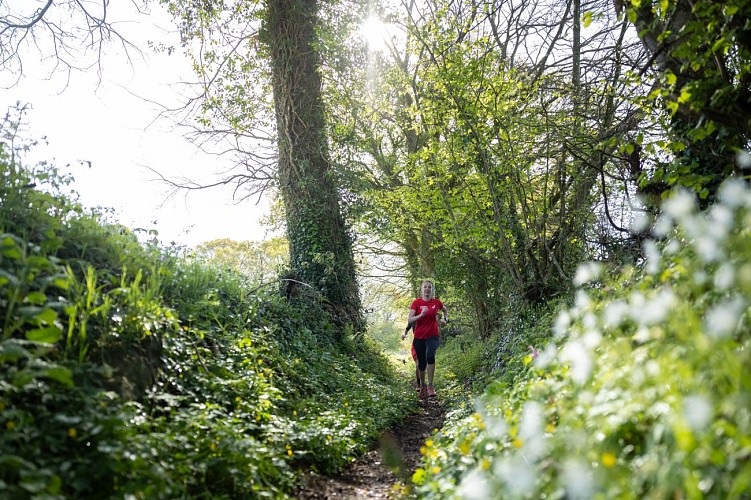 Circuit trail des vals du Trieux