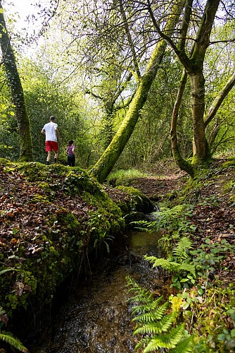 Circuit trail du Toul Du