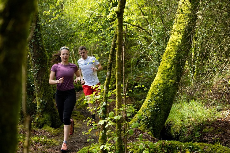 Circuit trail du Toul Du
