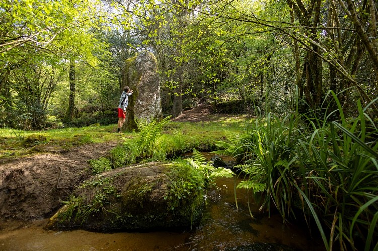 Circuit trail du Toul Du