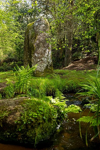 Circuit trail du Toul Du