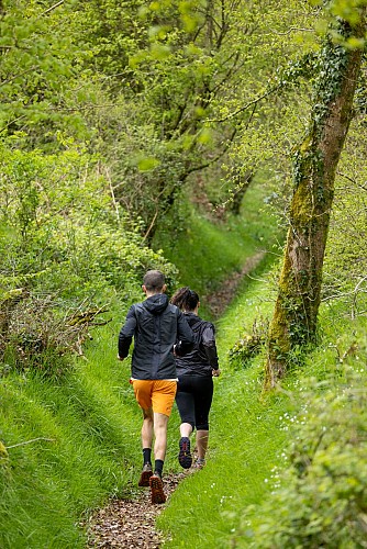 Circuit trail du Disquet