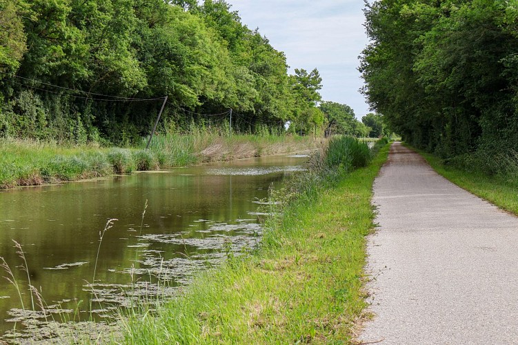 St-Maurice-sur-Fesard 2025 ©S. Bercier (2)