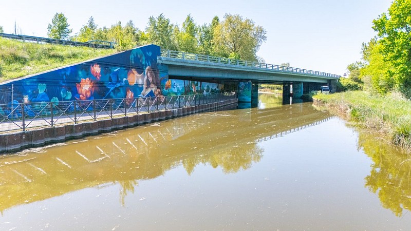 Canal d'Orléans 2025 ©S. Meurs - Département du Loiret (2)