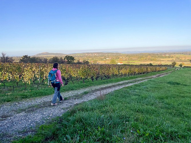 GR® de Pays Vignobles du Forez et pitons basaltiques_Boën-sur-Lignon