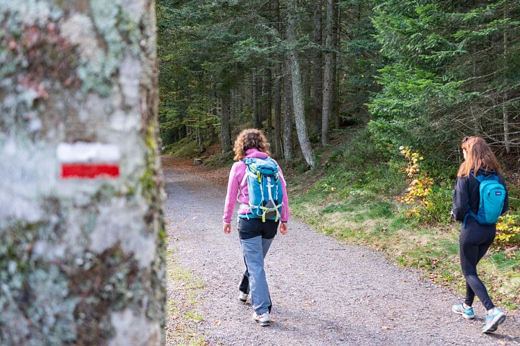 GR® de Pays Les Grenadières_Noirétable