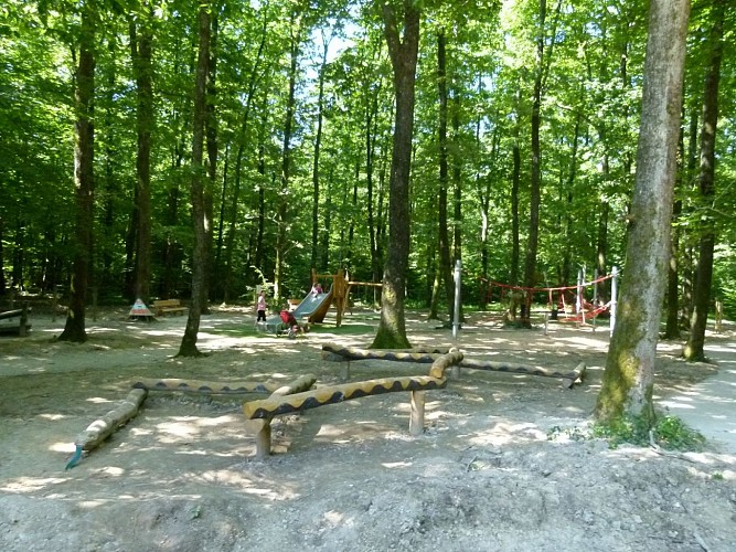Balade et parcours d'activités en forêt de Seillon