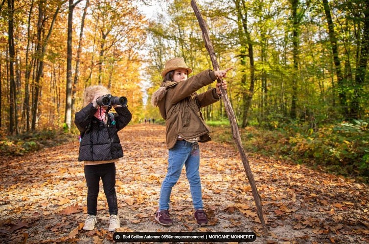 Balade et parcours d'activités en forêt de Seillon