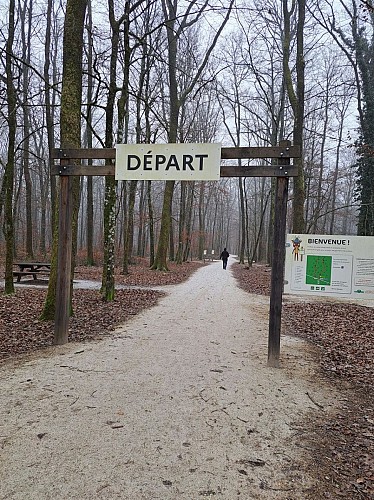 Balade et parcours d'activités en forêt de Seillon