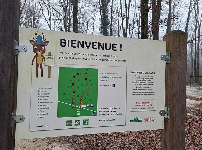 Balade et parcours d'activités en forêt de Seillon
