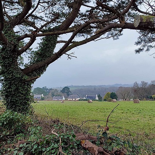 Circuit Chapelle de Saint Cado | Ploumilliau