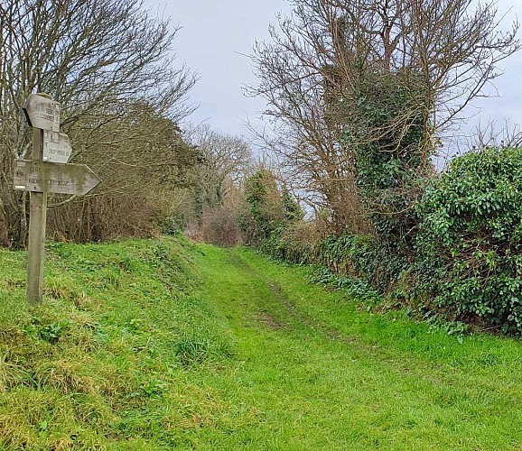 Circuit bien balisé | Ploumilliau