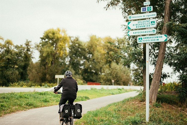 BR22 Drei-Täler-Strecke