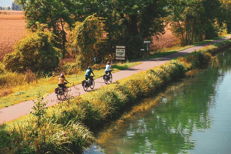 BR90 Balade champêtre entre Ill et canal du Rhône au Rhin