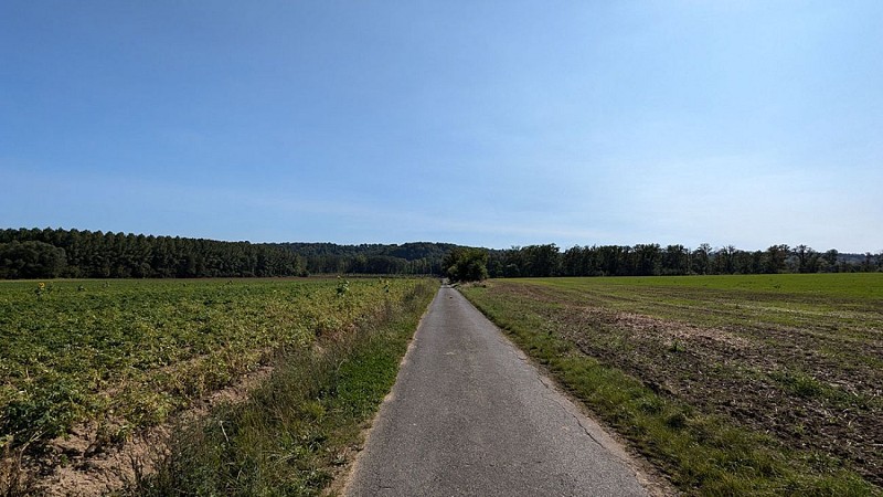 Rue des Bons enfants à Pancy