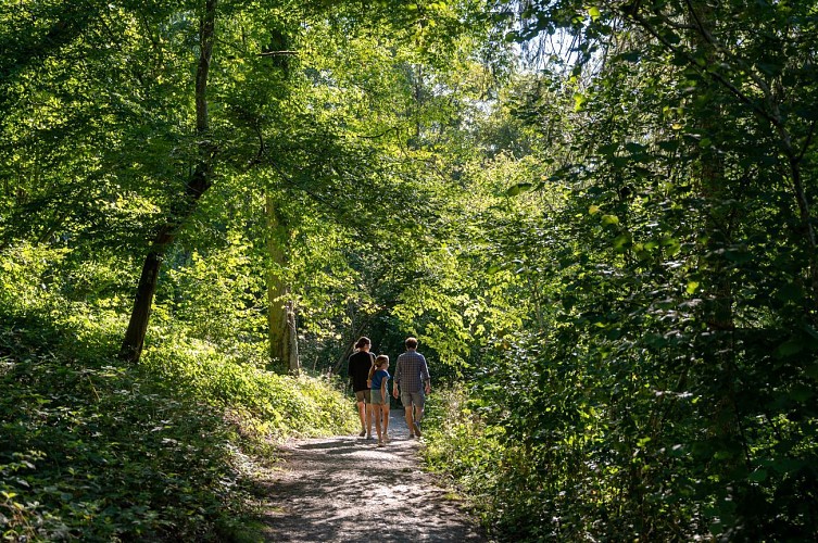 Van station naar station in de Condroz-Famenne - Van Courrière naar Assesse