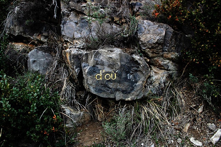 herman de vries, quoi, pourquoi, d’où, vers où, 2004, Collection musée