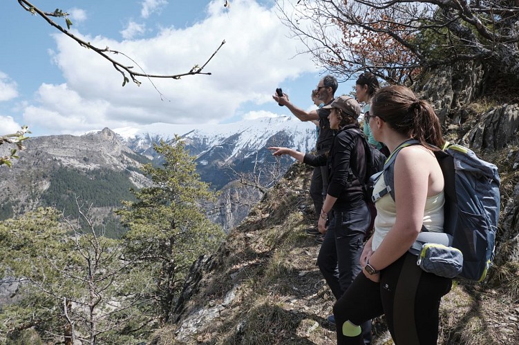Roche-Rousse_La Robine-sur-Galabre