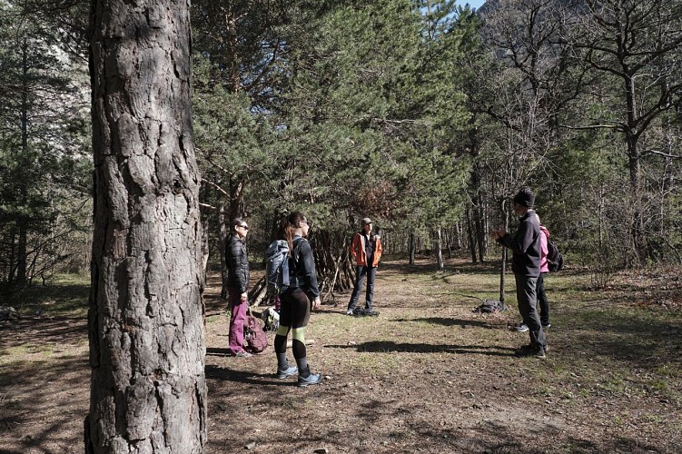 Roche-Rousse_La Robine-sur-Galabre