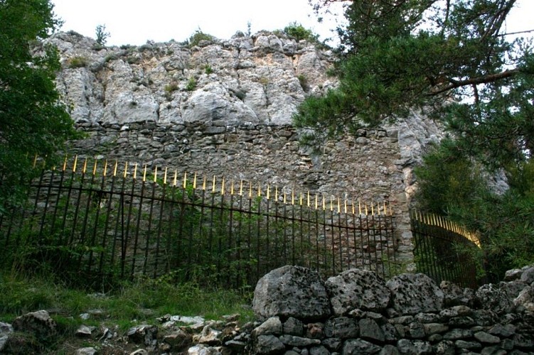 herman de vries, <i>le sanctuaire de la nature et son bois sacré</i>, 1999-2003, Collection musée Gassendi