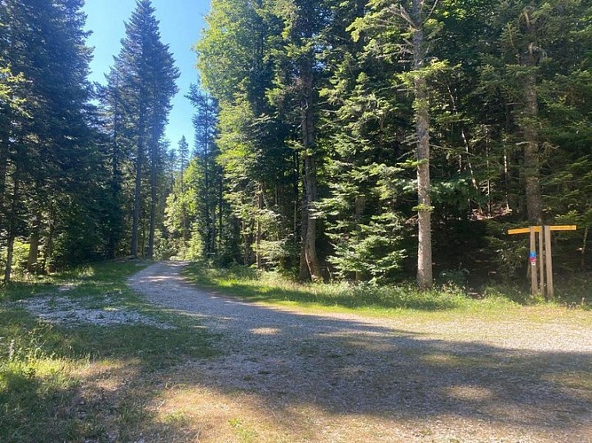 Carrefour de Pré Pansu