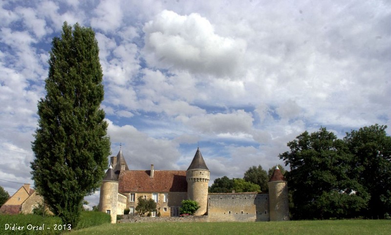 Saint-Cyr-la-Rosière Château de l'Angenardière