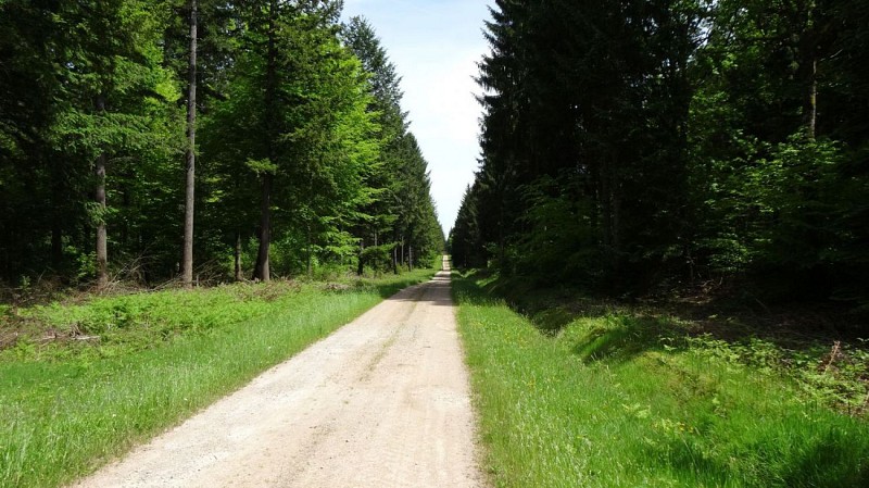 GR654 - Varzy - Châteauneuf val de Bargis