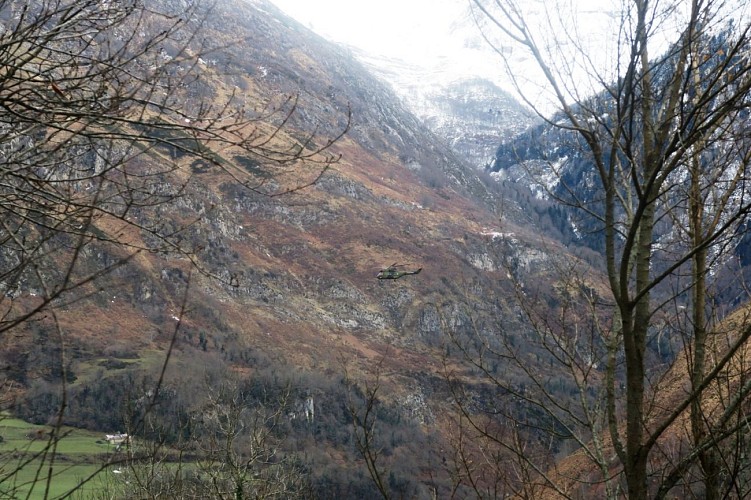 N°63 Tour du Bialaa