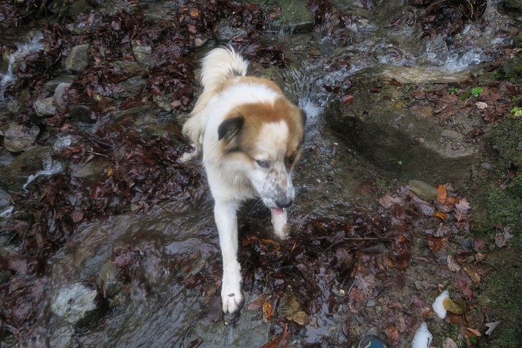 N°63 Tour du Bialaa