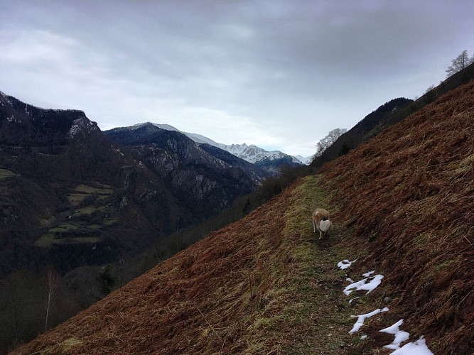 N°63 Tour du Bialaa