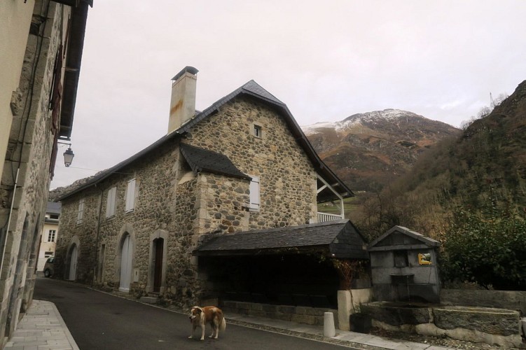 N°63 Tour du Bialaa