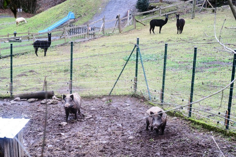 N°63 Tour du Bialaa