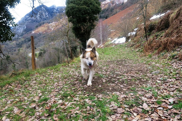 N°63 Tour du Bialaa