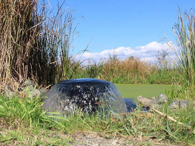 A Mios, balade au fil de l'Eyre
