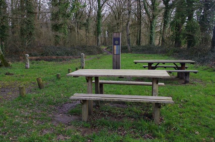 Tables de pique-nique