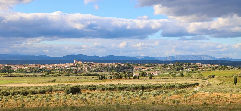 14 / Ouveillan : autour de l'étang