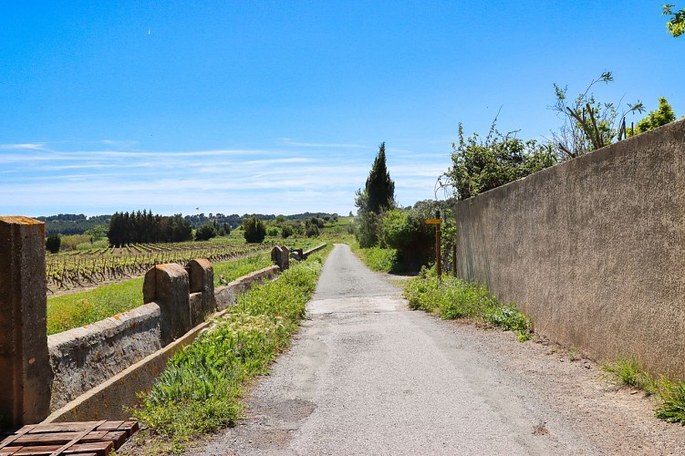 14 / Ouveillan : autour de l'étang