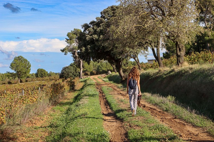 14 / Ouveillan : autour de l'étang