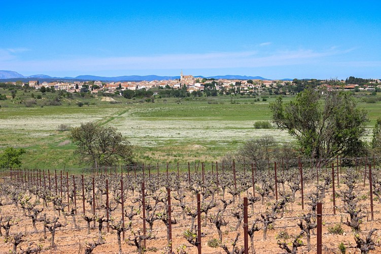 14 / Ouveillan : autour de l'étang