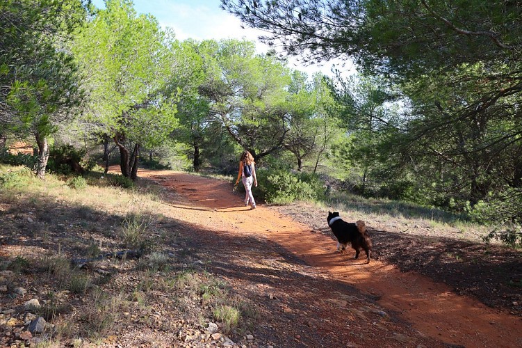 14 / Ouveillan : autour de l'étang