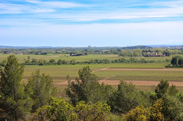 14 / Ouveillan : autour de l'étang