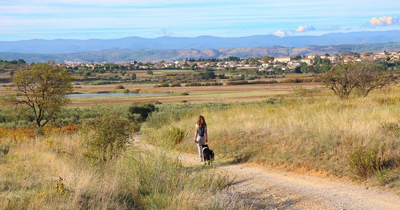 14 / Ouveillan : autour de l'étang