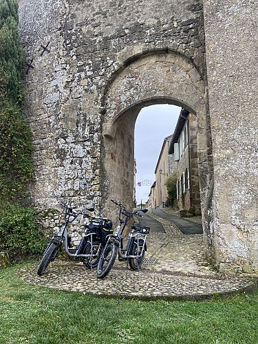 bikes