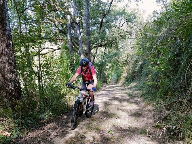 N°10 Rouge: Vallée du Touch par les forêts et le lac