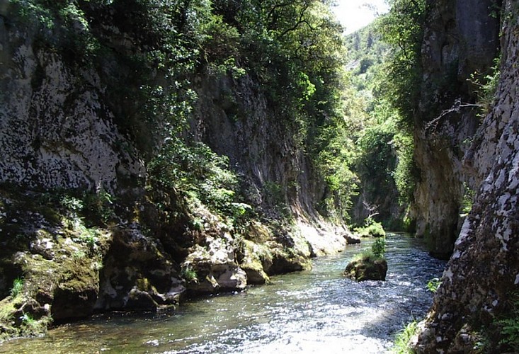 l'Arboretum et la Vis_Alzon