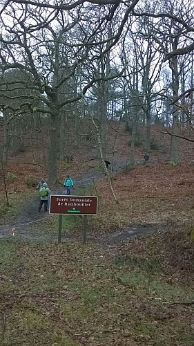 Descente vers les Rochers d'Angennes