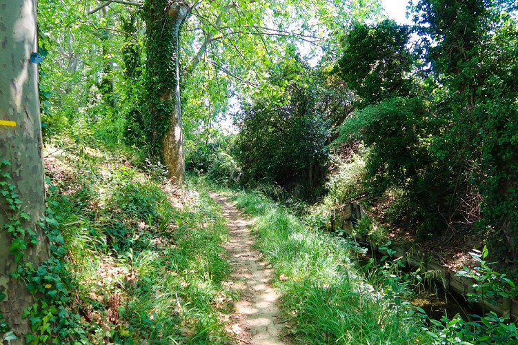 11 / Mirepeisset : au fil de l'eau