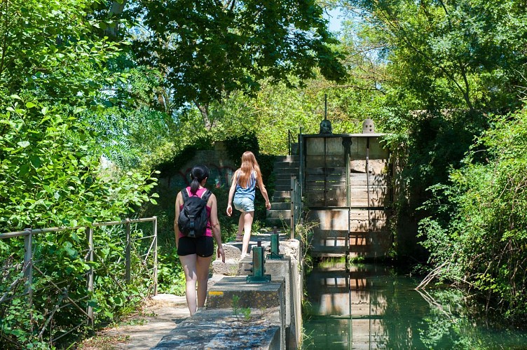 11 / Mirepeisset : au fil de l'eau